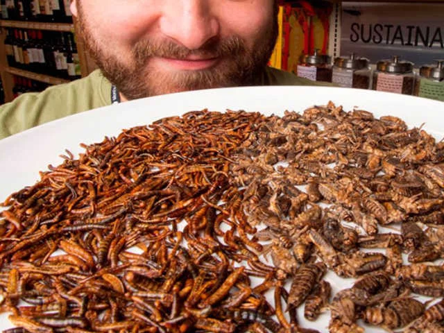 Канаде голод не грозит: на обеденный стол будут поставляться 2 млрд жуков в год