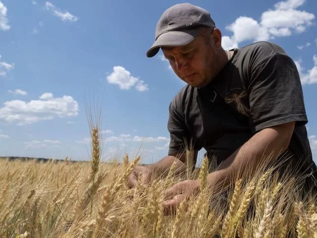 Всё больше европейских стран запрещают Украине ввозить сельхозпродукцию