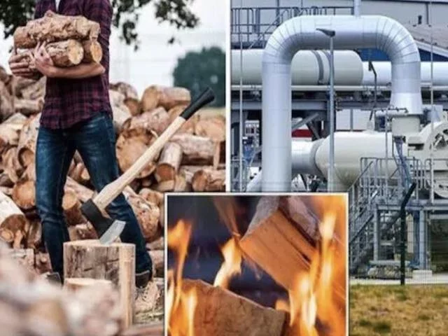 Германия запретит отопление домов древесиной