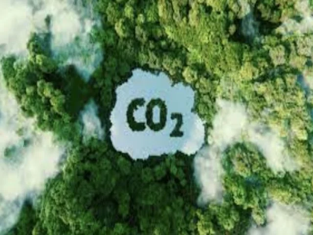 Удар по пропаганде: основатель Greenpeace считает, что углекислый газ благотворен для Земли