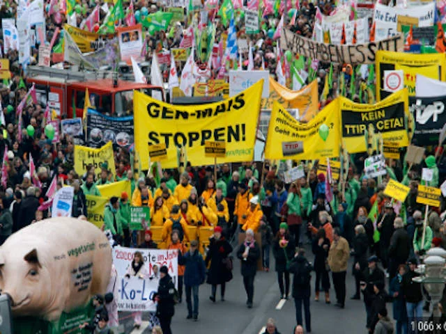 "Зеленые" в Германии: немцы обязаны делиться своим богатством