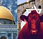 Израиль готовит историческое жертвоприношение - признак конца света