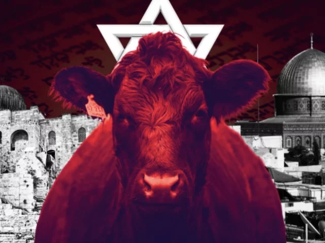 Израиль готовит историческое жертвоприношение - признак конца света