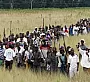 Голодающая Зимбабве умоляет белых фермеров вернуться обратно