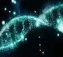 Подтверждено: ДНК инопланетян внедрена в человеческие гены
