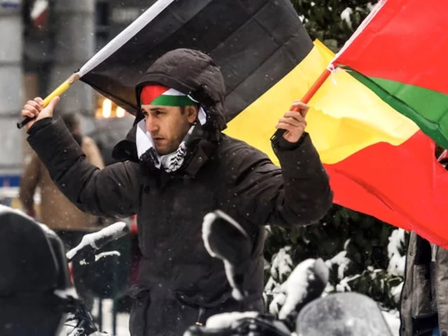 В Бельгии 72,9 % детей мигранты и только 10,5 % - бельгийцы по происхождению