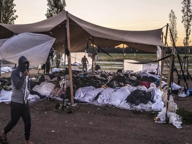 Граждане США, бежавшие от Трампа, живут в европейских лагерях для беженцев