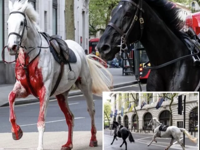 666 дней после того, как окровавленная белая лошадь унесла королевскую семью, совпали с арестом бывшего принца