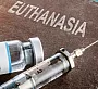 За год в Канаде людей усыпили в два раза больше, чем собак
