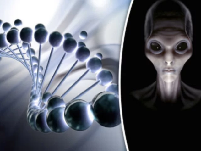 Доказательства внедрения чужой ДНК в генофонд человека