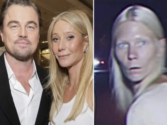 Гвинет Пэлтроу подтвердила, что употребляла плоть детей вместе с Леонардо Ди Каприо