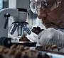 Mars, Hershey и Nestlé запускают "шоколадный апокалипсис"