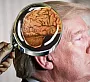 Израиль: Иран манипулирует сознанием Трампа с помощью "электромагнитного оружия"