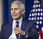 Фаучи, разгонявший ковидобесие, назвали в США нацистом Менгеле