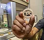 Населению предлагают печенье из пластиковых отходов